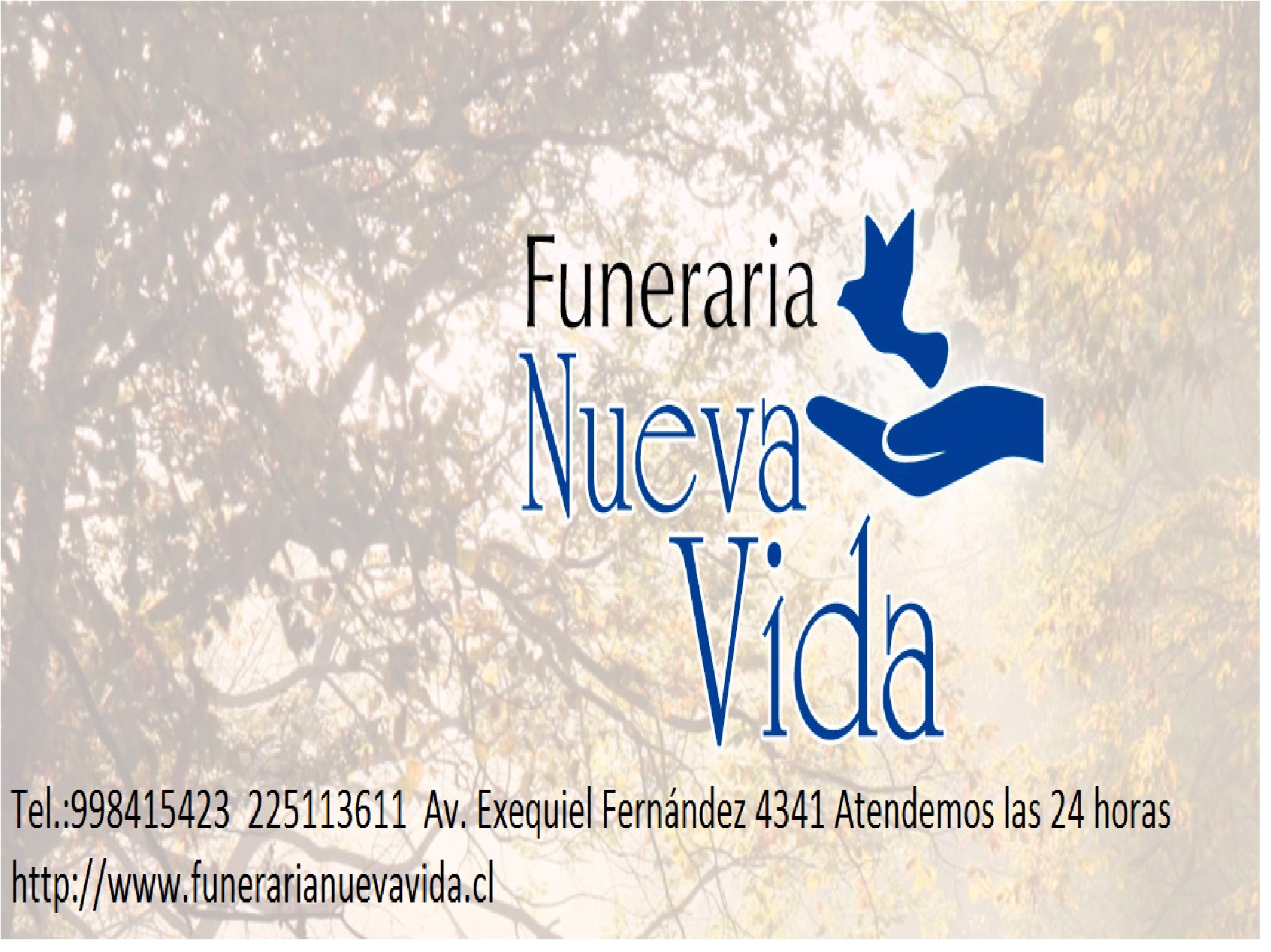 FUNERARIA NUEVA VIDA Macul