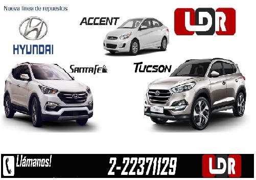 LDR REPUESTOS ACCESORIOS AUTOMOTRIZ Macul